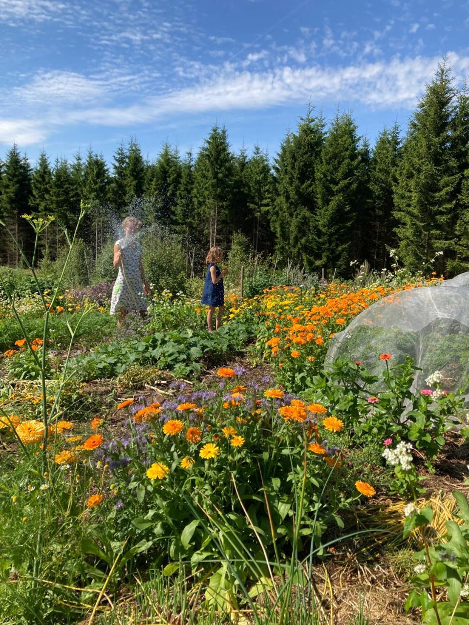 مبيت وإفطار Simlångsdalen Escape To Paulssonpaleo المظهر الخارجي الصورة
