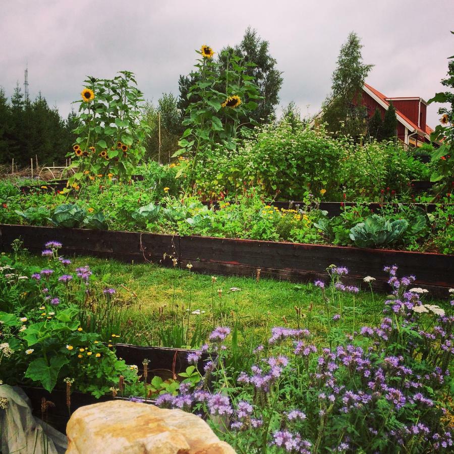 مبيت وإفطار Simlångsdalen Escape To Paulssonpaleo المظهر الخارجي الصورة