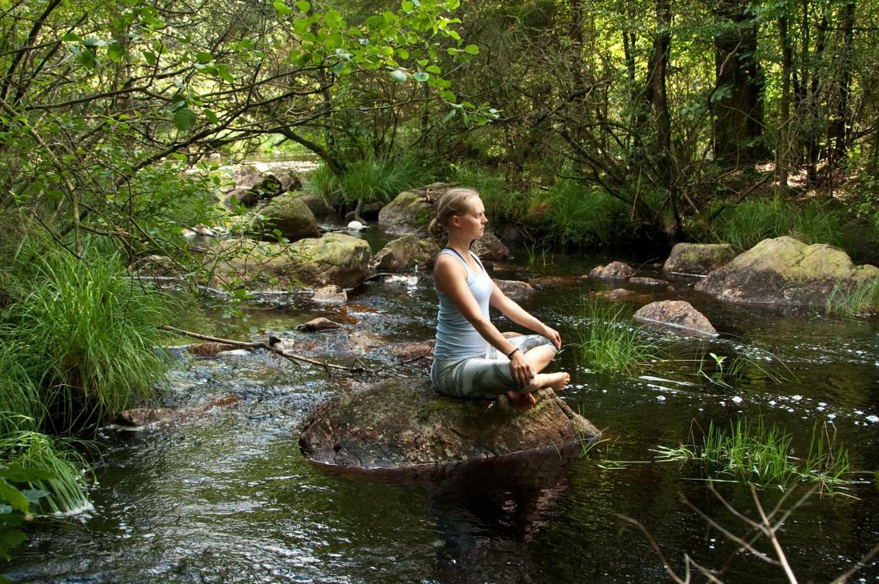 مبيت وإفطار Simlångsdalen Escape To Paulssonpaleo المظهر الخارجي الصورة