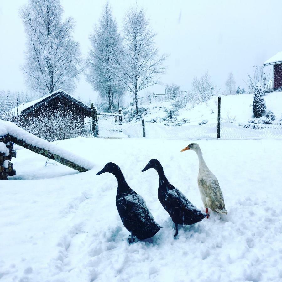 مبيت وإفطار Simlångsdalen Escape To Paulssonpaleo المظهر الخارجي الصورة
